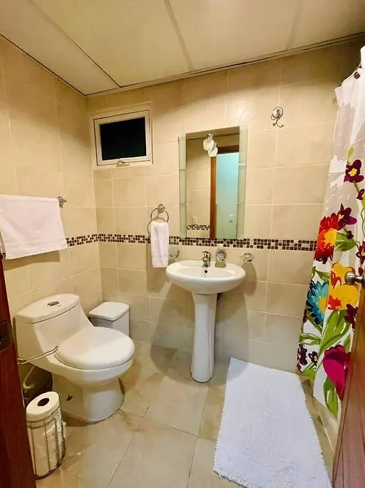 Spacious And Cozy Apartment In The City 聖多明哥