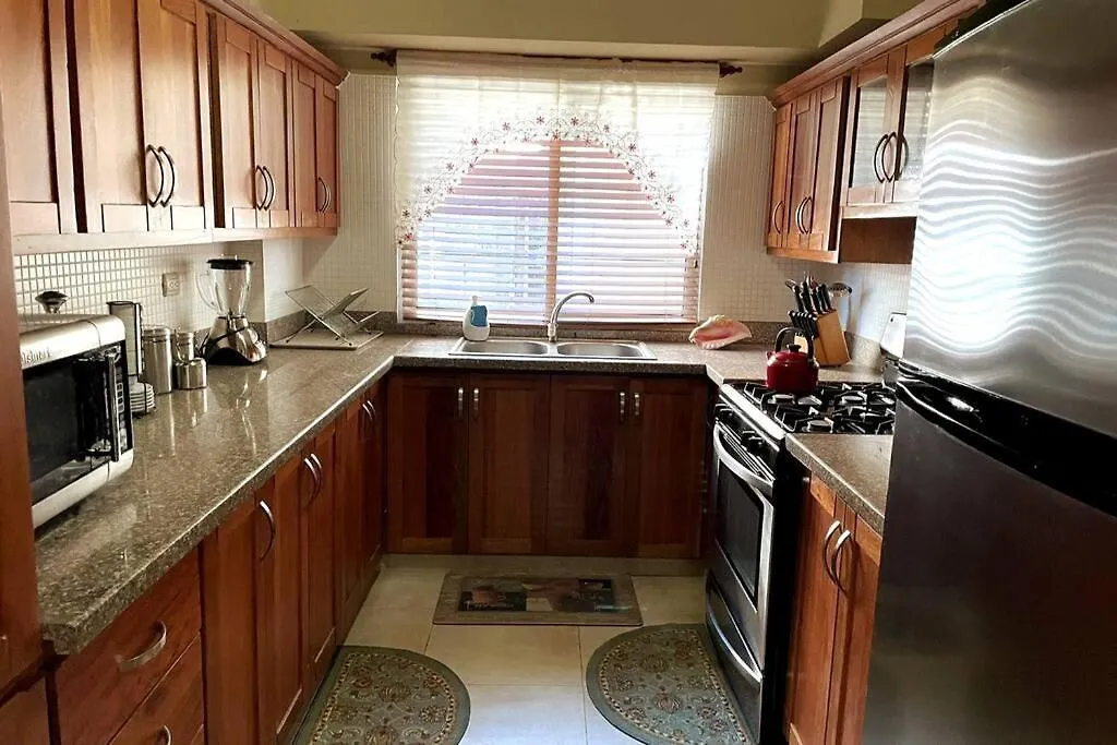 Spacious And Cozy Apartment In The City 聖多明哥