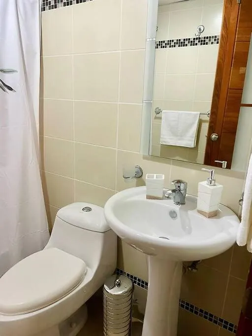 Spacious And Cozy Apartment In The City 聖多明哥